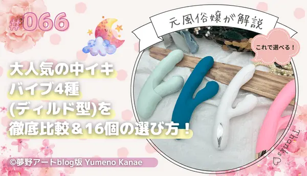 アダルトグッズの処分でお困りの方必見!家族やパートナーにバレない方法 14 Thumbnail