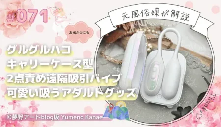グルグルハコ徹底レビュー｜キャリーケース型の可愛い2点責め遠隔吸引バイブを元風俗嬢が解説