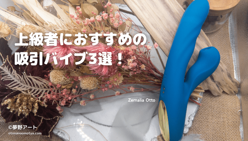 画像 003 bylbf kizi