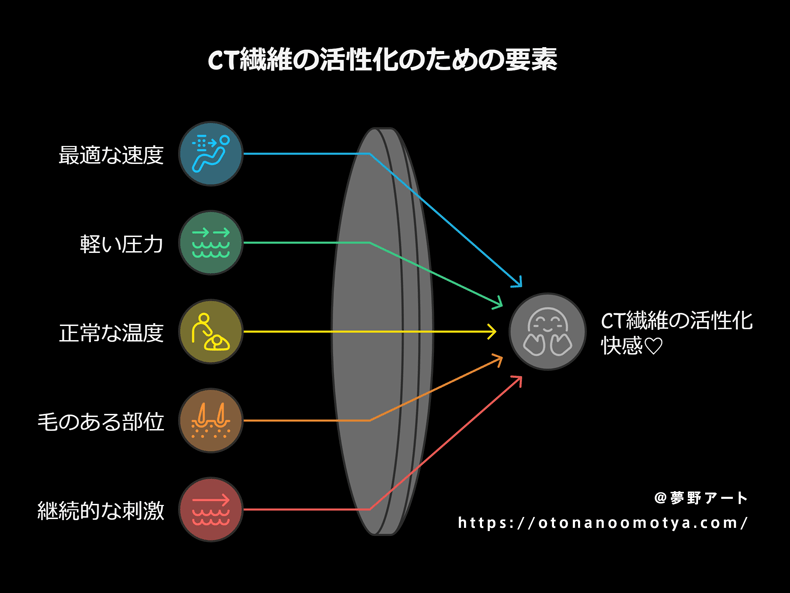画像 感覚神経で考慮してCT繊維による快感を引き出すための適切な愛撫方法