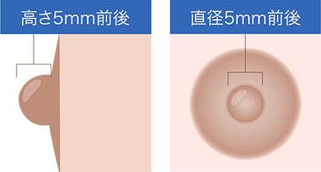 画像 男性の乳首の高さ
