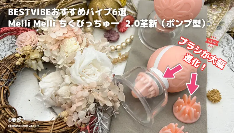 Melli Melli 旧ちくびっちゅ一2.0革新の写真